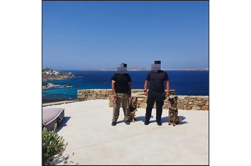 CPO Dogs/Protection with guarding dog