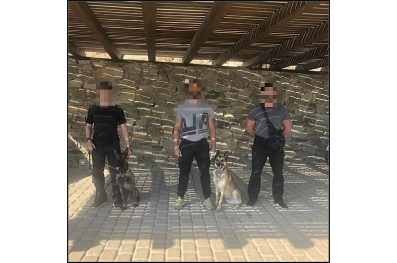 CPO Dogs/Protection with guarding dog